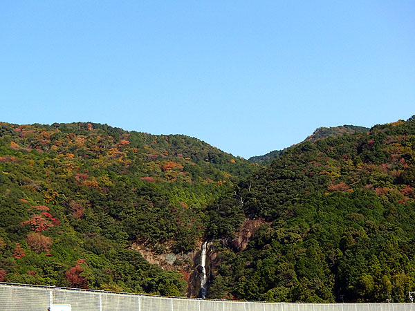 国道４２号線から見える滝